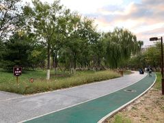 -回龙观体育文化公园