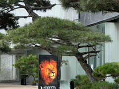 -罗红摄影艺术馆