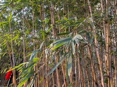 -沙河三洞古桥公园