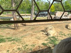 -秦皇岛野生动物园