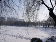 -二一九公园