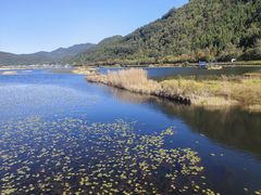 -腾冲北海湿地