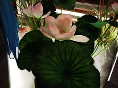 -荷塘秋月·本帮江浙菜(国权路店)