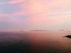 -枸杞岛