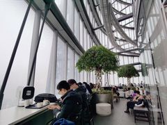 -上海中心大厦
