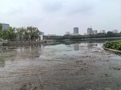 -莲花池公园