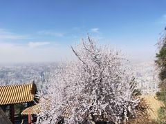 -兰山公园