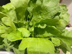 -牛街·马辈儿涮肉(牛街总店)