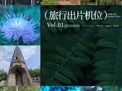 -上海佘山国家森林公园天马山园