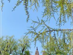 -北京石刻艺术博物馆(五塔寺)