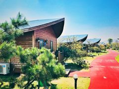 -阳光海岸露营公园