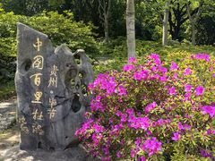-上海滨江森林公园