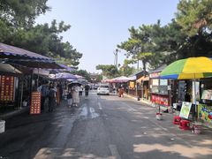 -洛阳古墓博物馆