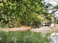 -八大山人梅湖景区