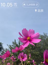 -密云玫瑰情园