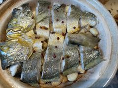 -1937青岛老味道·海肠捞饭·青岛菜(大鲍岛栈桥店)