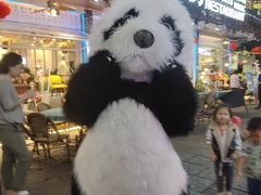 -喜鹊音乐酒馆(西街店)