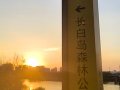 -长白岛森林公园