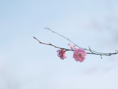 -阳澄湖费尔蒙酒店