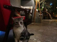 -咖法森林·咖啡  酒吧(天河店)