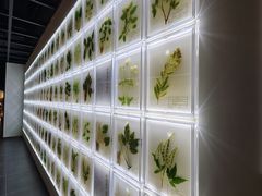-广东中医药博物馆