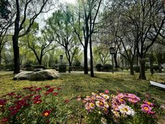 -唐城墙遗址公园