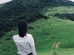-大姆山草场