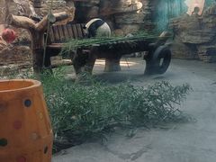 -石家庄市动物园