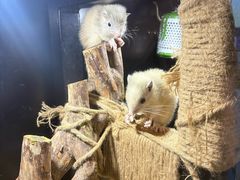 -太平洋海底世界