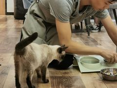 -袖虎·猫馆(体育西路店)