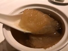 -新同乐鱼翅酒家(美丽华店)