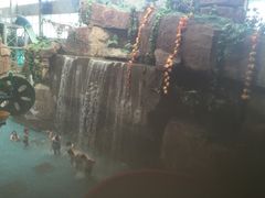 -天山海世界