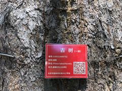 -北京上方山国家森林公园