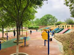 -大兴滨河森林公园