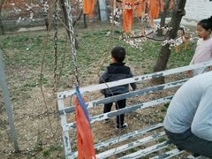 -开心庄园
