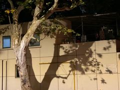-RUMORS COFFEE ROASTERY鲁马滋咖啡(湖南路店)