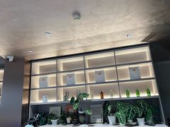 -Sips&Lick茶兰咖啡(五道口店)