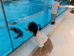 -帝企鹅自助餐厅•儿童岛•真企鹅(长隆企鹅酒店)