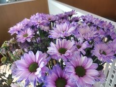 -良木缘咖啡西餐(川大店)