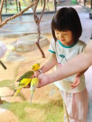 -酷嗒动物文化乐园(cutezoo西溪乐天城店)