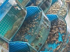 -蓝珊甄选海鲜自助·火锅大排档(近阿那亚店)