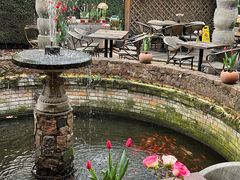 -Golden Lily河内巴黎法越料理餐厅(建国西路店)