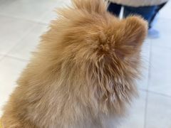 -怪兽屋·羊驼·猫咖·狗咖(俊华广场店)