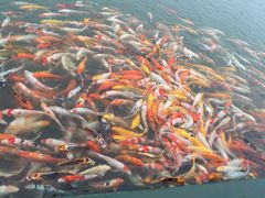 圣蓝海洋公园-北戴河圣蓝海洋公园