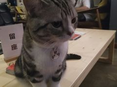 -咖法森林·咖啡  酒吧(天河店)