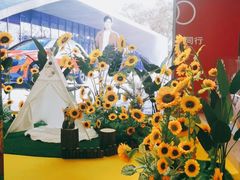 -中海环宇荟