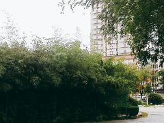 -乐天拉面(桃花街店)