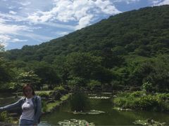 -汉拿树木园