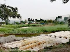 -蜀南竹海景区