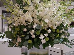 -Lady M(沙田新城市广场店)